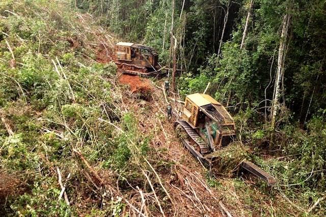 Amazônia teve 73% do desmatamento para garimpo em terras indígenas