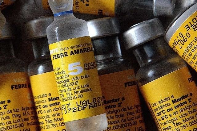 Estado de Minas Gerais confirma 99 mortes por febre Amarela