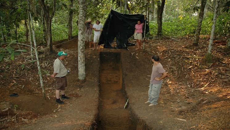 Povos pré-colombianos foram os primeiros  a alterar a flora amazônica