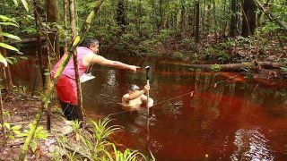 Urbanização de Manaus polui igarapés que nascem na reserva Ducke