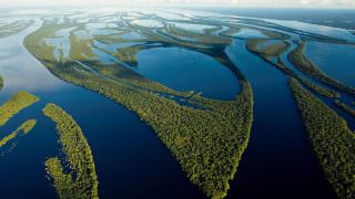 Rio Amazonas é mais velho do que se pensava; gigante tem 9 milhões de anos