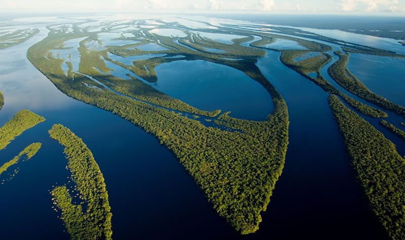 Rio Amazonas é mais velho do que se pensava; gigante tem 9 milhões de anos