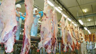 BNDES quer fomentar setor de processamento de carnes no Brasil