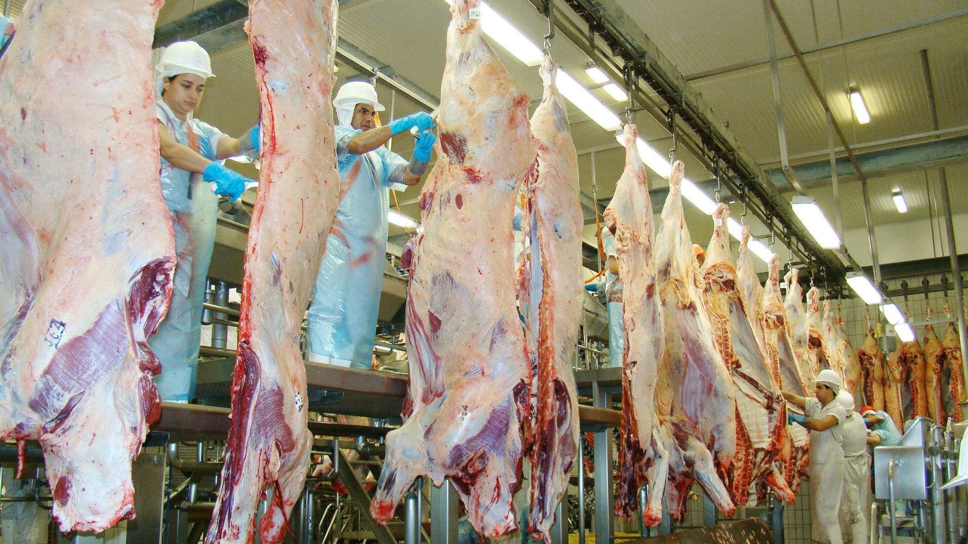 BNDES quer fomentar setor de processamento de carnes no Brasil