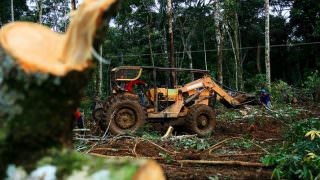 Socioambiental: Amazonas só cumpre duas de 40 metas