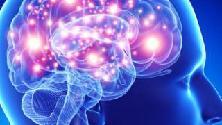Cientistas afirmam ter registrado atividade cerebral após a morte