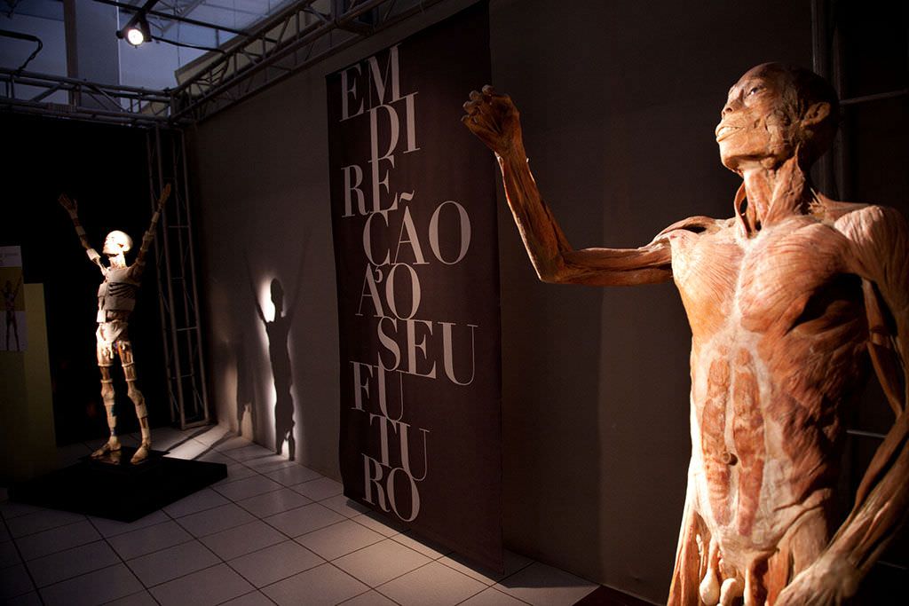 Exposição O Fantástico Corpo Humano será palco de palestras sobre saúde
