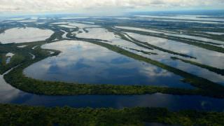 Ministérios da Defesa e do Meio Ambiente estudam transformar o Arquipélago de Anavilhanas em unidade de conservação