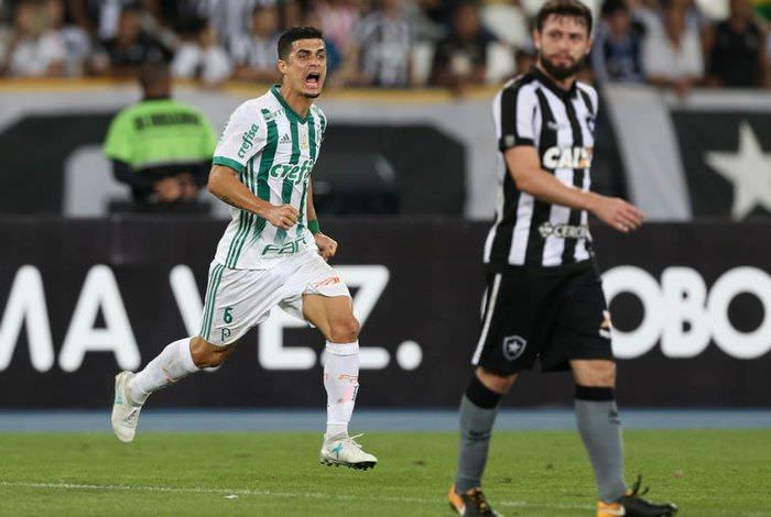 Botafogo volta a vacilar no fim e perde para o Palmeiras no Nilton Santos