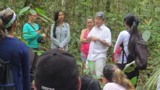 Professores poderão fazer curso de imersão na floresta amazônica