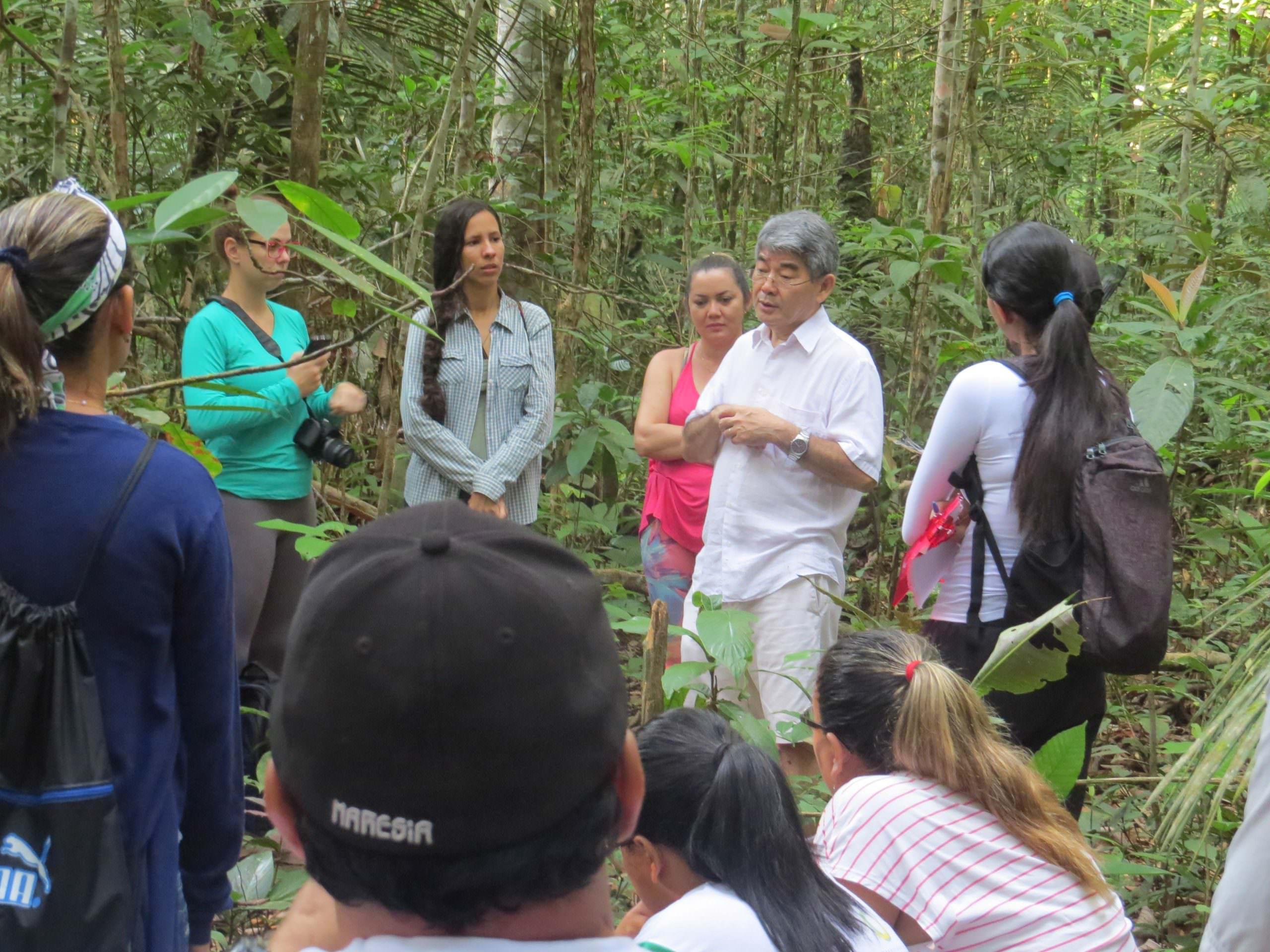Professores poderão fazer curso de imersão na floresta amazônica