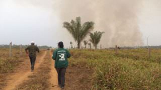 Apuí é o município com maior número de focos de incêndio no Amazonas