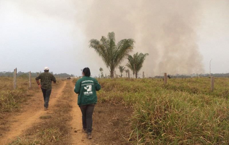 Apuí é o município com maior número de focos de incêndio no Amazonas