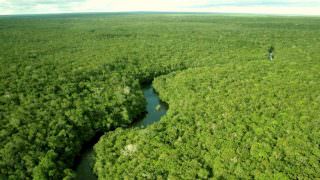 Desmatamento da Amazônia em junho é 57% maior do que no mesmo mês de 2018