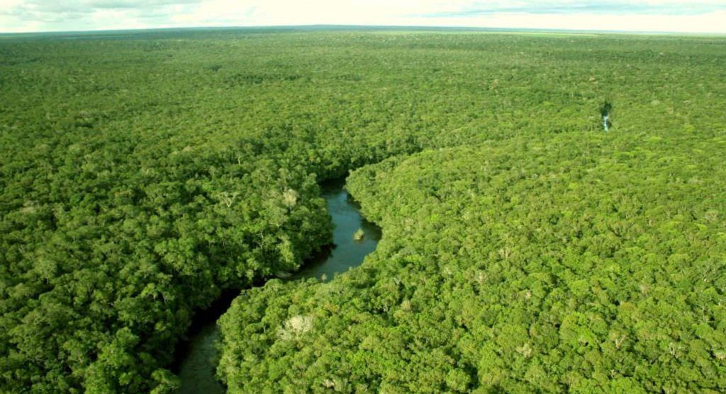 Desmatamento da Amazônia em junho é 57% maior do que no mesmo mês de 2018
