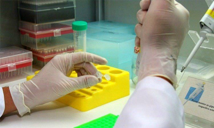 Testes indicam que vacina contra zika pode prevenir a transmissão na gravidez