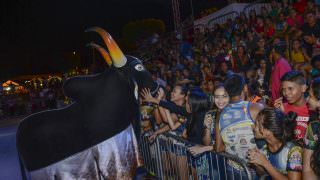Bumbás levam encanto para a última noite do 18º Festival Folclórico de Presidente Figueiredo