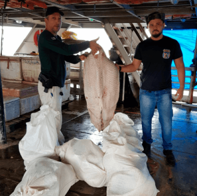 Equipe da Dema apreende 1,3 t de pesca ilegal no Porto da Manaus Moderna