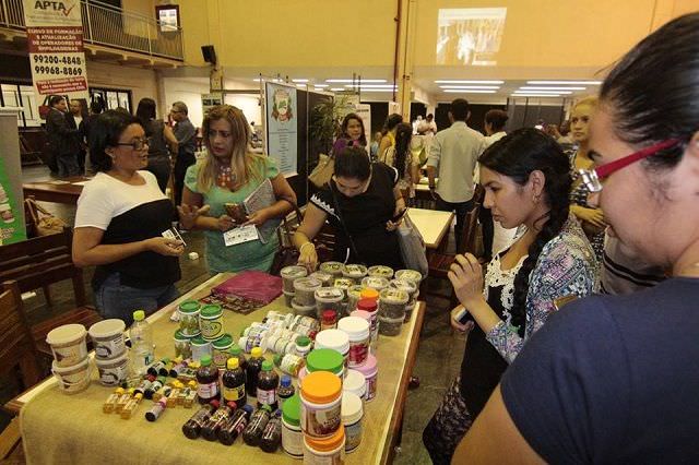 Pesquisa aponta que Manaus é pior cidade para empreendedorismo