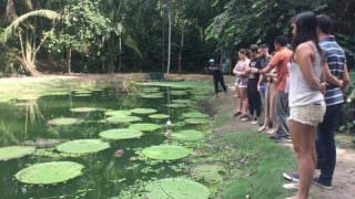 Visita ao Museu da Amazônia é opção no feriado em Manaus