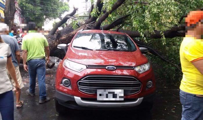 Árvore cai e interdita rua no Centro de Manaus após forte chuva