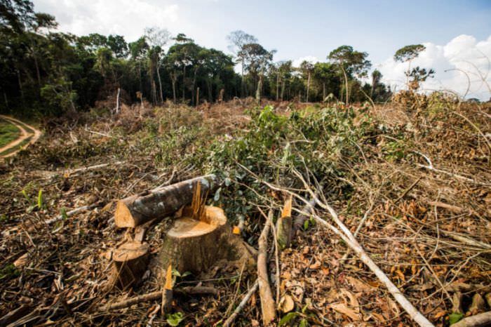 Desmatamento na Amazônia gera pedido de indenizações de R$ 3,7 bi