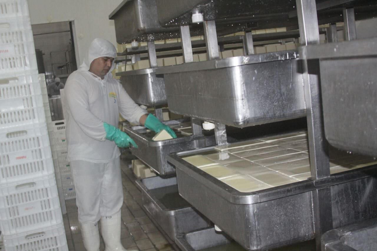 Sepror promete investir em potencialidades do gado em Manicoré