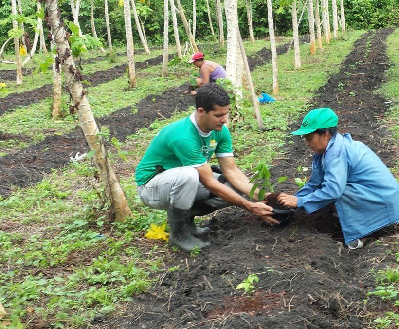 Agricultores no Amazonas terão R$ 133 milhões de crédito para 2018