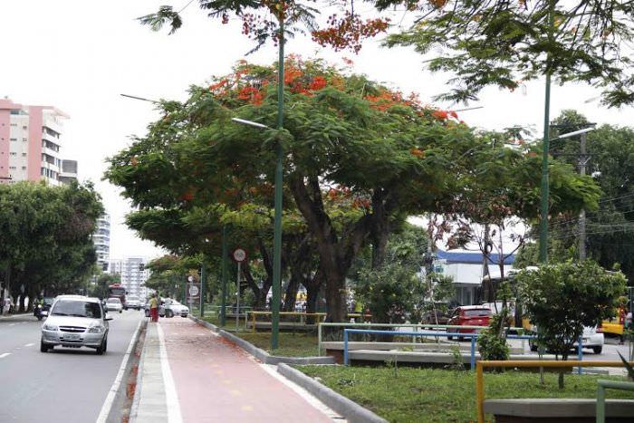 Trecho da Avenida Álvaro Maia será fechada neste domingo (27)