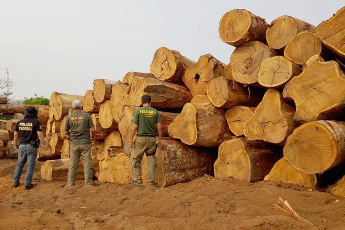 Justiça investiga fraudes no transporte de madeira no AM