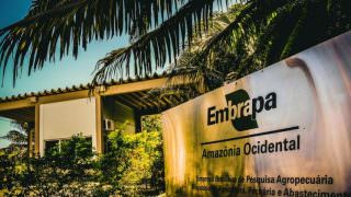 Funcionários da Embrapa denunciam perseguições e até agressões, inclusive em unidade do AM