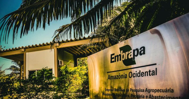 Funcionários da Embrapa denunciam perseguições e até agressões, inclusive em unidade do AM