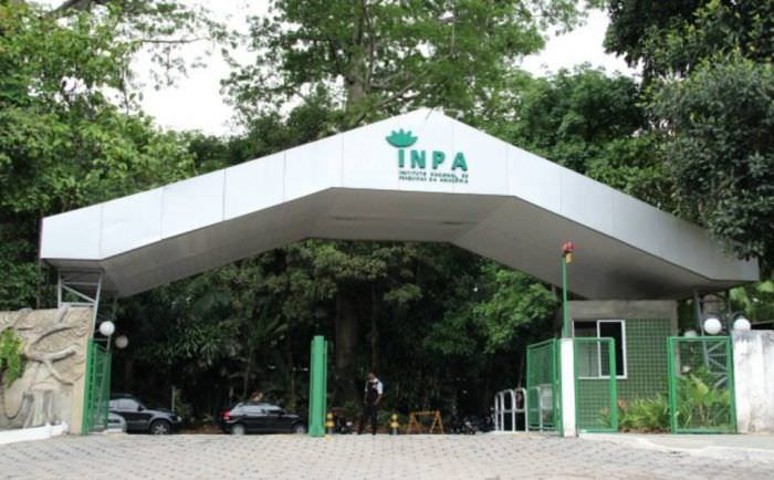 Inpa recebe inscrições para vaga de Pós-doutorado