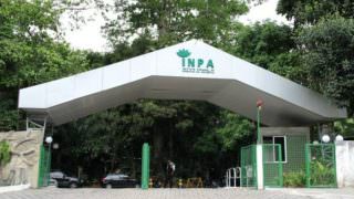Inpa abre vagas para bolsa de pós-doutorado