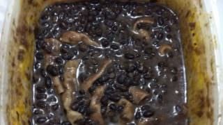 Mãe é presa tentando entrar com maconha em pote de feijão na UPP