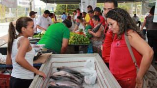 Mais de 100 toneladas de pescado serão doadas a famílias carentes, anuncia governo