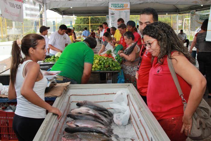 Mais de 100 toneladas de pescado serão doadas a famílias carentes, anuncia governo