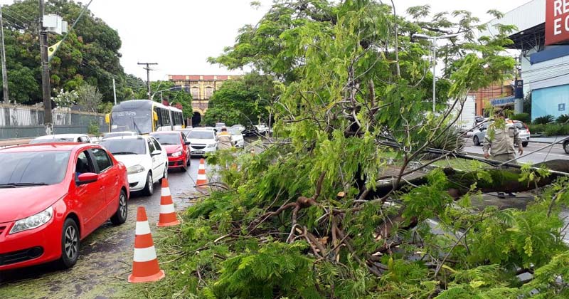 Manaus tem trânsito caótico na manhã desta quarta