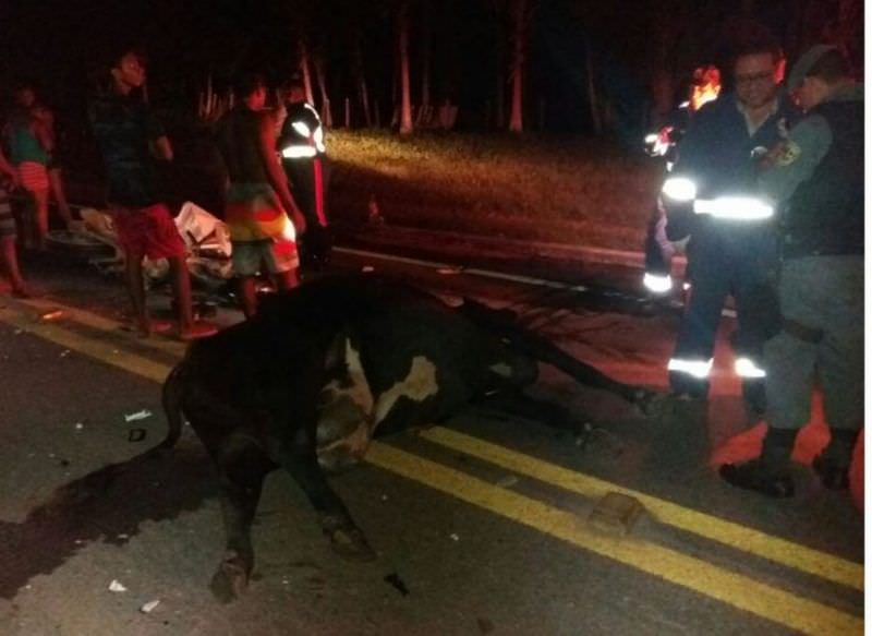 Homem morre após bater moto em vaca na BR-174