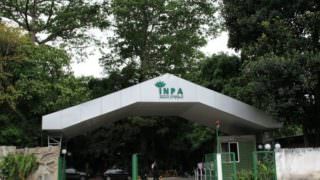 Câmara Federal irá debater a crise no Inpa e em outros institutos federais do AM