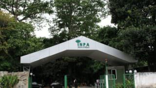 Servidores discutem nesta quinta-feira ameaças às atividades do Inpa