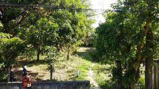 Após denúncia, prefeitura retira invasores de área verde no Parque 10