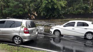 Postes de energia caem sobre veículos em Avenida; veja o vídeo