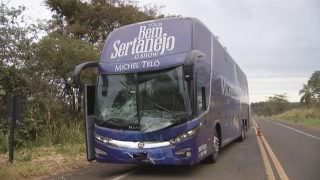 Ônibus de Michel Teló se envolve em acidente com vaca