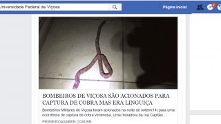 Mulher confunde linguiça com cobra e pede socorro aos bombeiros