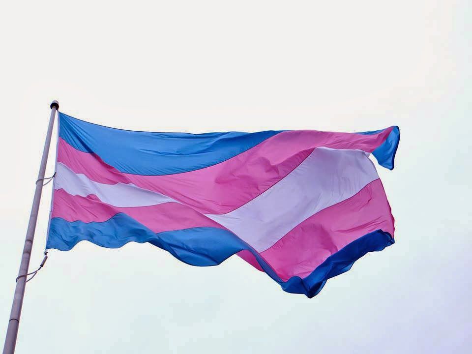 Organização Mundial da Saúde tira transexualidade da sua lista de doenças