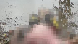 Corpo é encontrado boiando em igarapé de Manacapuru