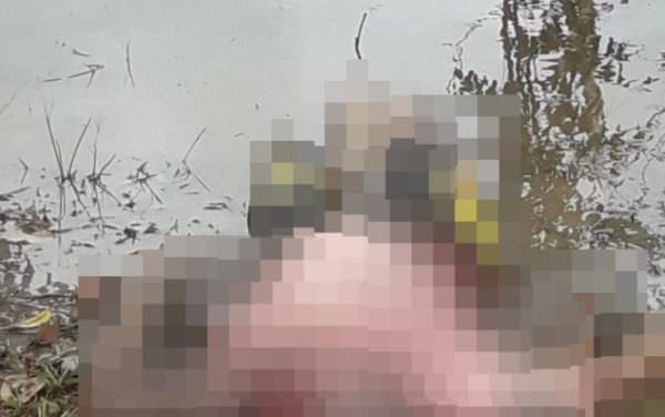 Corpo é encontrado boiando em igarapé de Manacapuru