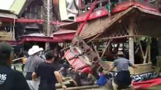 Vídeo flagra momento em que homem morre esmagado pelo caixão de sua mãe