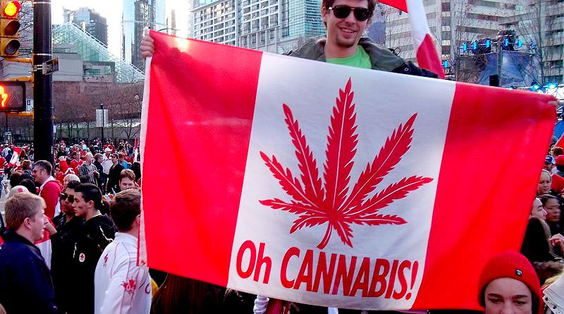 Senado do Canadá aprova legalização da maconha